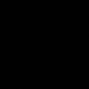 Meet your Posher, Ellen